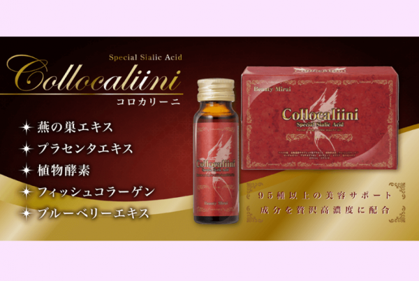 tinh-chat-to-yen-collocaliini (1)
